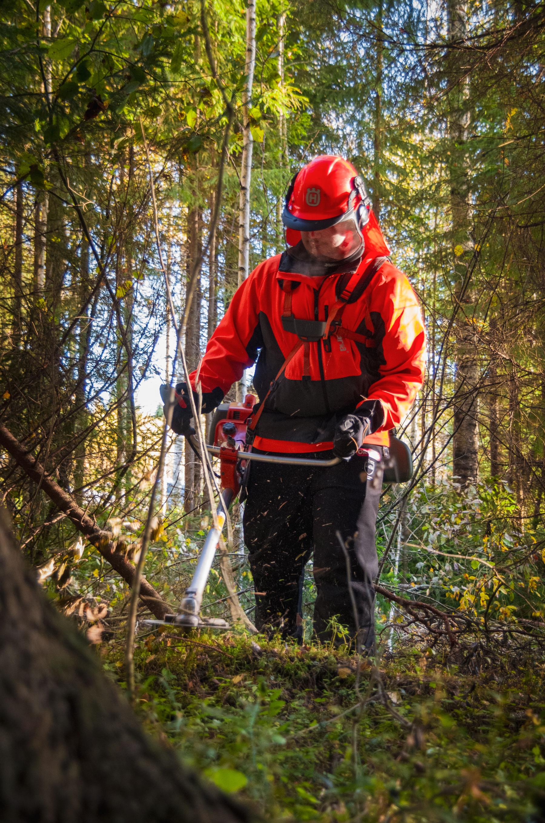 En Raíces Salvajes combinamos ciencia y experiencia sobre el terreno para regenerar tus espacios naturales.